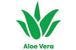 Aloe Vera Aloe Vera